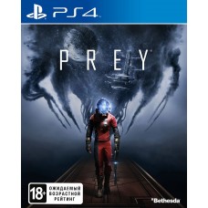 Prey Prey